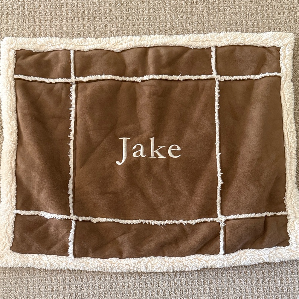 Pottery Barn Kids Brown and Cream Pillow